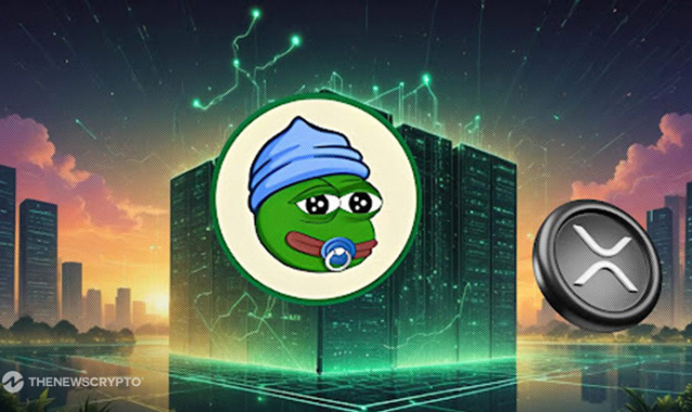 Little Pepe (LILPEPE) Under $0.005 Could Explode 11,500%, Massively Outshining Ripple (XRP)