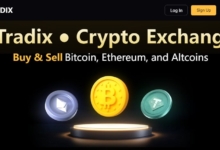 Xtradix.io  Grows Quietly While the Rest of Crypto Makes Noise