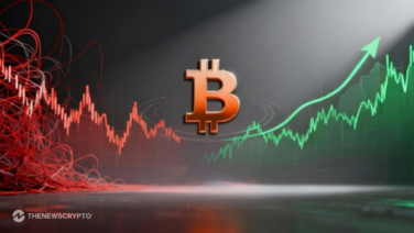 Bitcoin Reclaims $91,000 as Stability Emerges Amid Market Panic