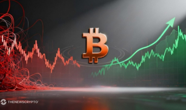 Bitcoin Reclaims $91,000 as Stability Emerges Amid Market Panic