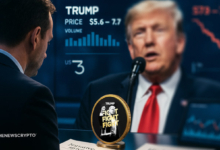 OFFICIAL TRUMP (TRUMP) Takes a Hit: Can It Hold Its Ground or Test Lower Lows?