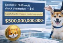 Shiba Inu to $1? Expert Says One Hurdle Changes Everything