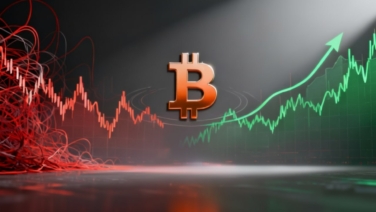 Bitcoin Reclaims $91,000 as Stability Emerges Amid Market Panic