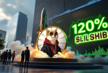 What Does a 10% Referral Reward Mean in $LILSHIB? A Complete Breakdown for New Crypto Users