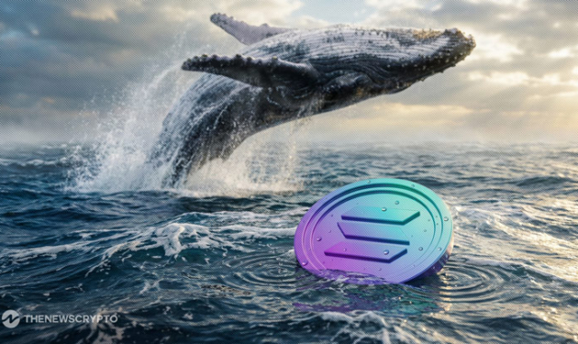 Dormant Solana Whale Moves 80,000 SOL Worth $10.7M After a Year of Inactivity