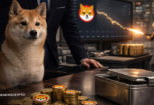 SHIB Price on a Free Fall After Fewer Tokens Burnt