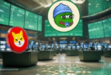 This Shiba Inu (SHIB) Alternative Will Rally From Under $0.003 to $0.45 in the Nearing Bull Run