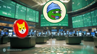 This Shiba Inu (SHIB) Alternative Will Rally From Under $0.003 to $0.45 in the Nearing Bull Run