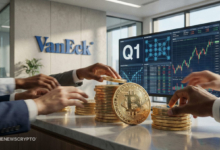 VanEck Says Policy Clarity Sets Up a Risk-On Q1 for Investors