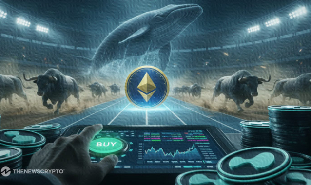 Whale Wallet Bought HYPE, Made Profit on ETH; Bull Run Ahead?