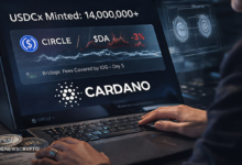 Cardano