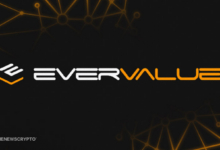 EverValue Announces Burn Vault Boost Upgrade to Its On-Chain Backing Mechanism
