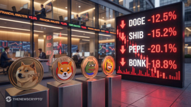 Into The Cryptoverse Founder Takes a Dig at Meme Coins as Segment Shows Decline