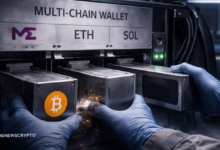 Magic Eden Shuts Bitcoin, EVM NFT Markets