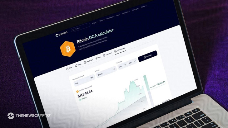$100/Month in Bitcoin Since 2015 Would Have Turned $13,700 Into $632,000, Coinbird Analysis Shows