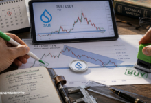 SUI Holds the Line at Major Support: Can Bulls Spark a 200% Breakout?