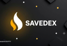 Trading on Savedex.com – What You Need To Know Before You Deposit