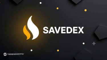 Trading on Savedex.com – What You Need To Know Before You Deposit