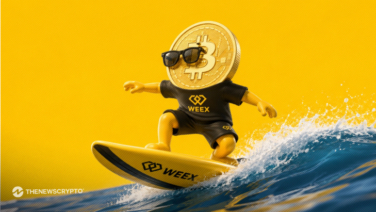 WEEX Crypto Trading Experience 2026: 1,000 BTC Protection Fund Meets All-Market Access