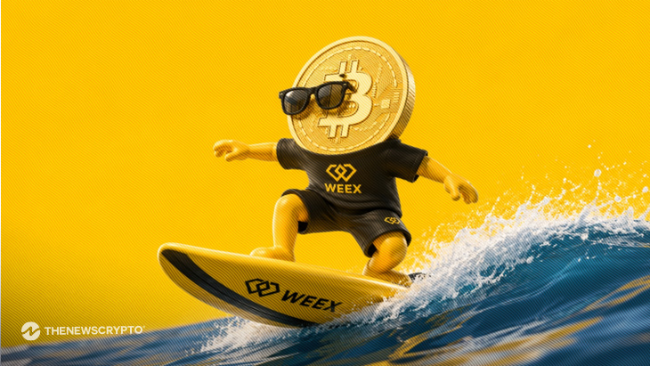 WEEX Crypto Trading Experience 2026: 1,000 BTC Protection Fund Meets All-Market Access