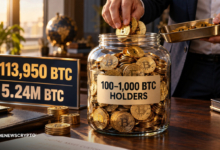 Bitcoin Whales Keep Accumulating as Price Slips: 100–1,000 BTC Wallets Add 113,950 BTC