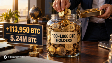 Bitcoin Whales Keep Accumulating as Price Slips: 100–1,000 BTC Wallets Add 113,950 BTC