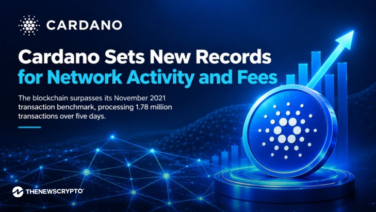 Cardano Sets New Records for Network Activity and Fees