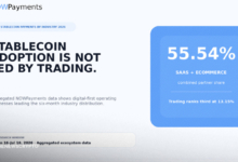 Stablecoins Are Quietly Becoming Business Infrastructure, NOWPayments Data Shows