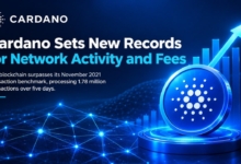 Cardano Sets New Records for Network Activity and Fees