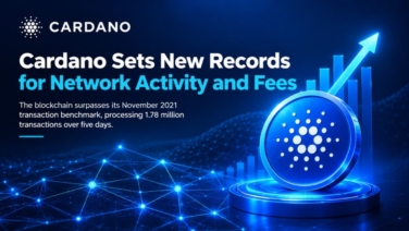 Cardano Sets New Records for Network Activity and Fees